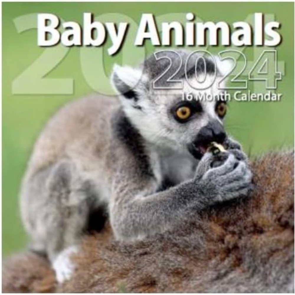 2024 Baby Animals Full Size Wall Calendar for Planning, Scheduling
